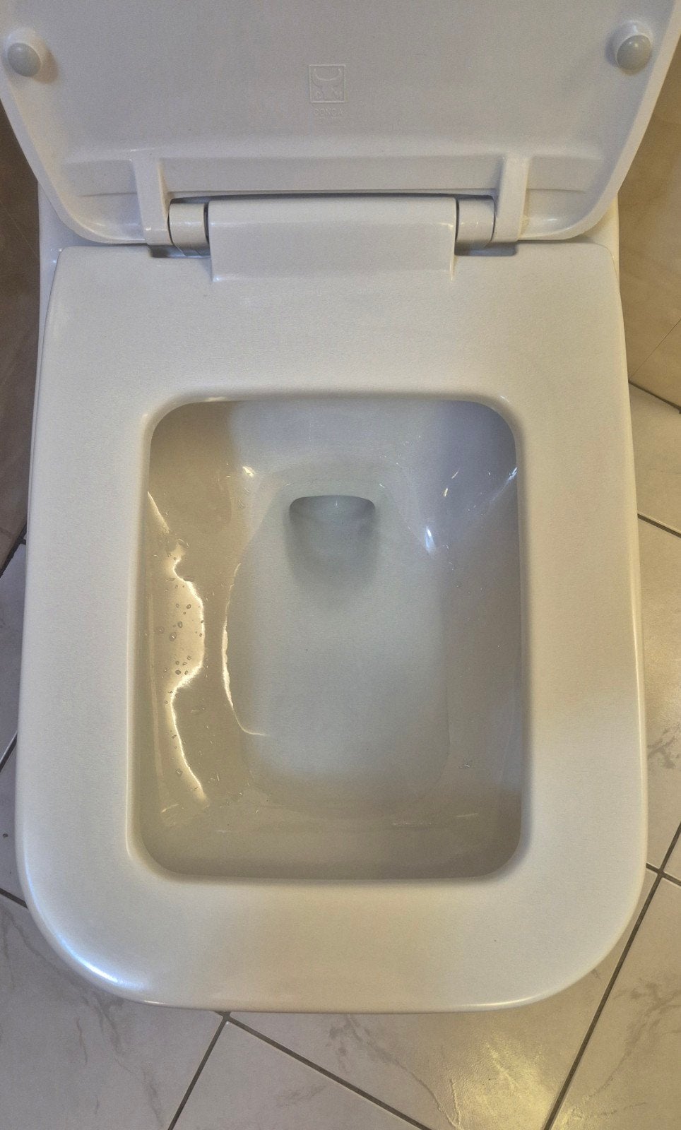 SFA Sanibroyeur sanicompact de luxe, Ophalen, Zo goed als nieuw, Rvs, Toilet