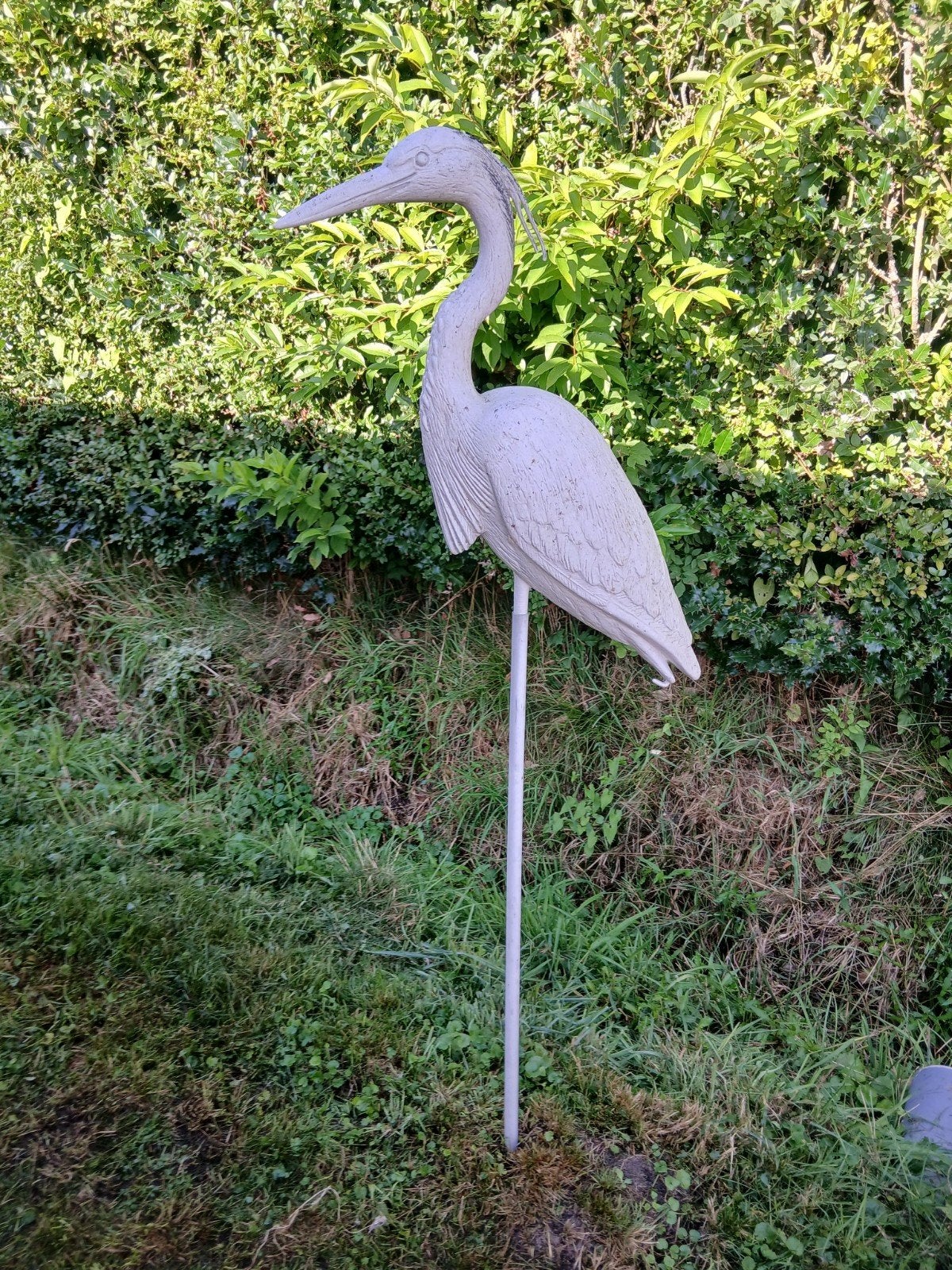 nep reiger voor bij de vijver, Ophalen of Verzenden