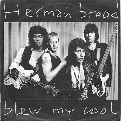 HERMAN BROOD  1980  SUBLIEME SCHIJF !!! B1940, Ophalen of Verzenden, Gebruikt, Pop