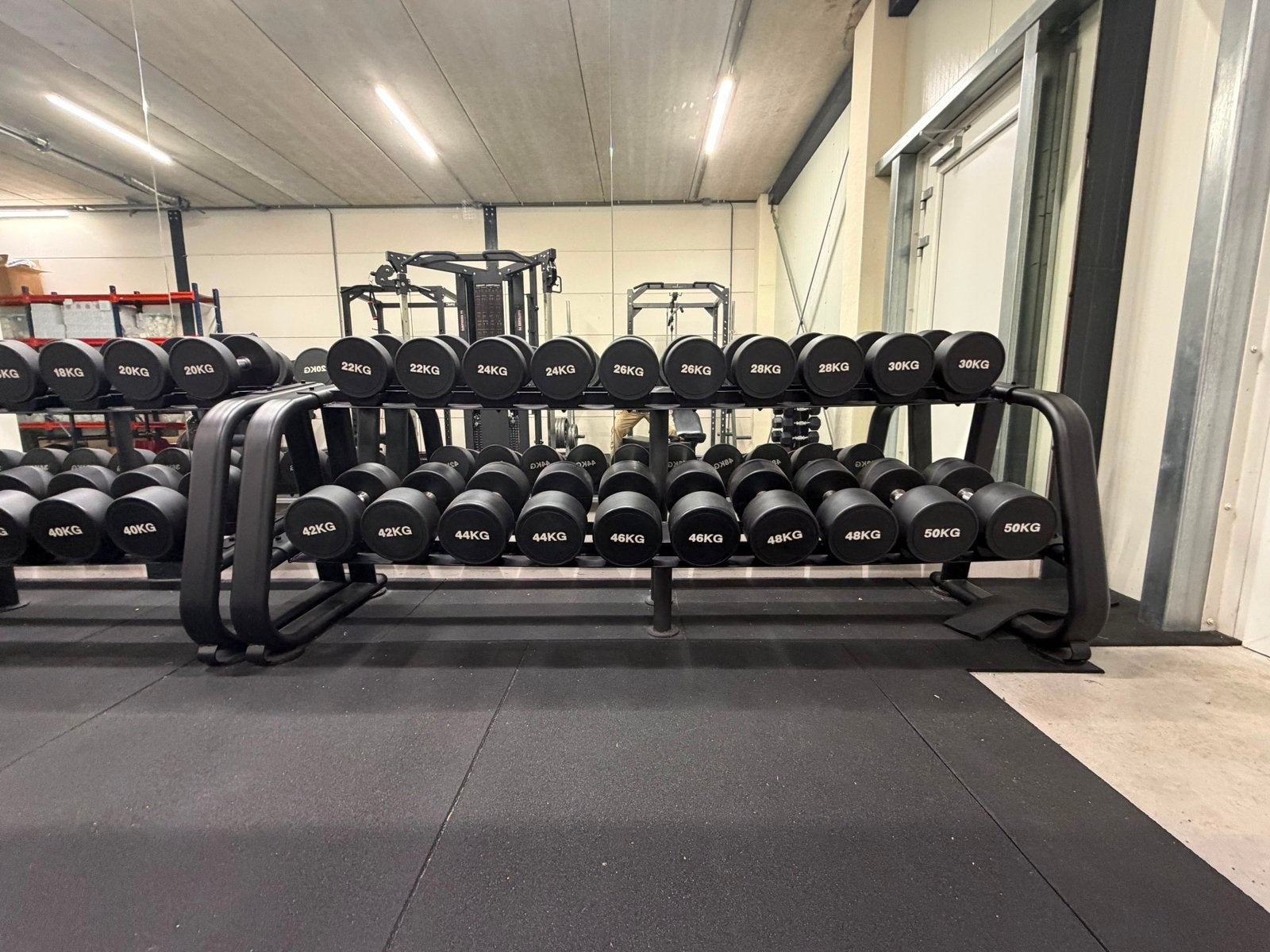 PU Dumbbellset 12-50 kg (20 paar) + 2 professionele racks, Ophalen, Zo goed als nieuw, Armen, Dumbbell