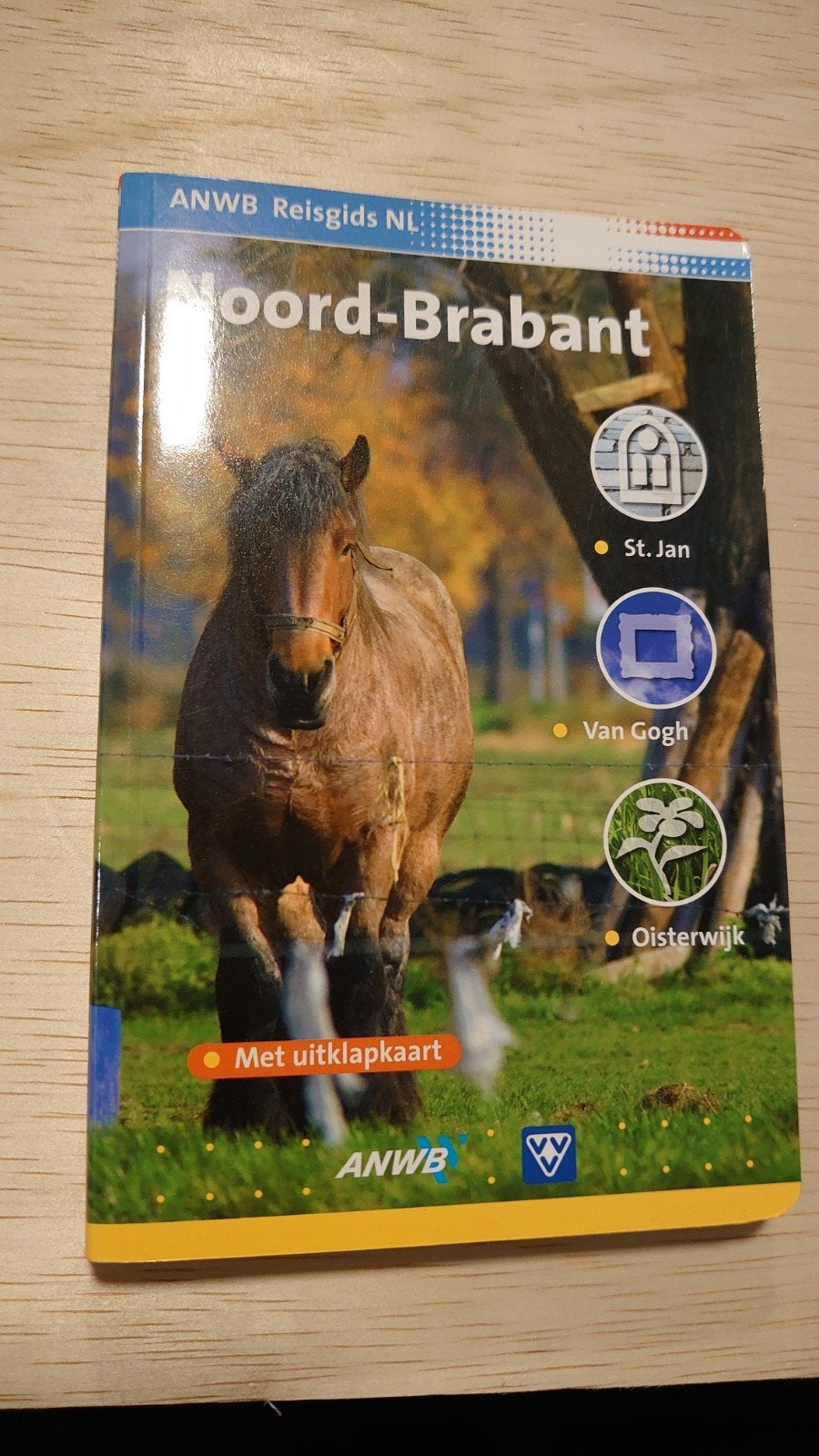 ANWB Reisgids NL: Noord-Brabant met uitklapkaart, Ophalen of Verzenden, Zo goed als nieuw, Reisgids of -boek, ANWB