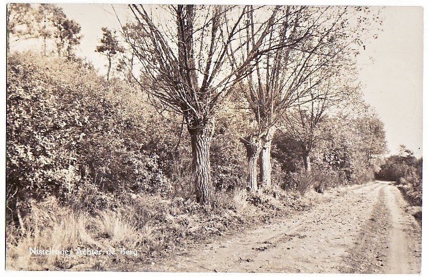 Nistelrode Achter de Berg 1958 - mooie foto-glanskaart-, Verzamelen, Ophalen, 1940 tot 1960, Gelopen, Noord-Brabant