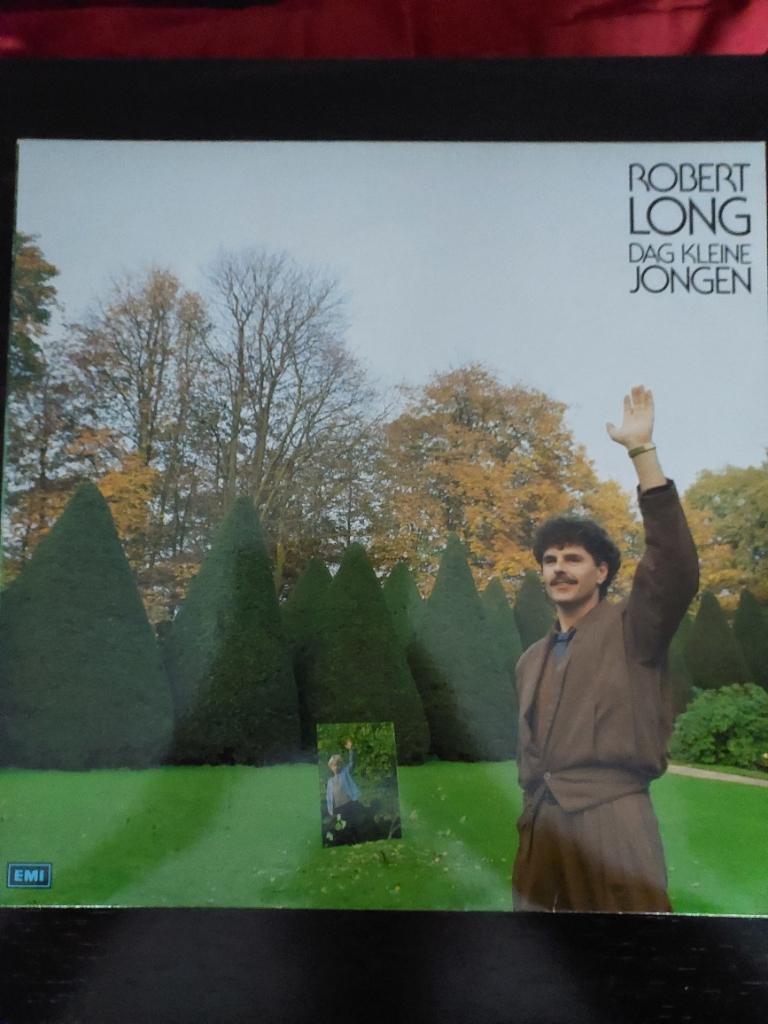 LP: Robert Long - dag kleine jongen, Cd's en Dvd's, Vinyl | Nederlandstalig, Ophalen of Verzenden, Gebruikt, 12 inch, Levenslied of Smartlap