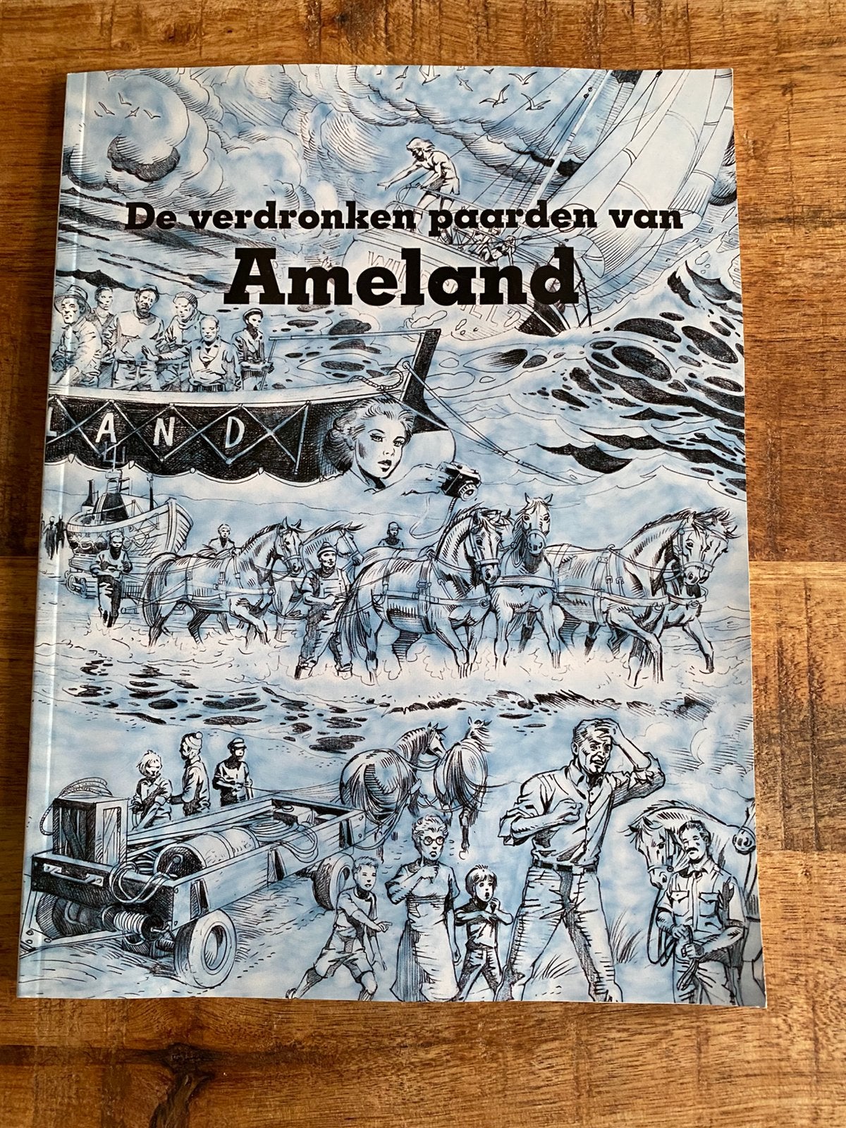 Stripboek: de verdronken paarden van Ameland-penny uitgave, Ophalen of Verzenden, Zo goed als nieuw