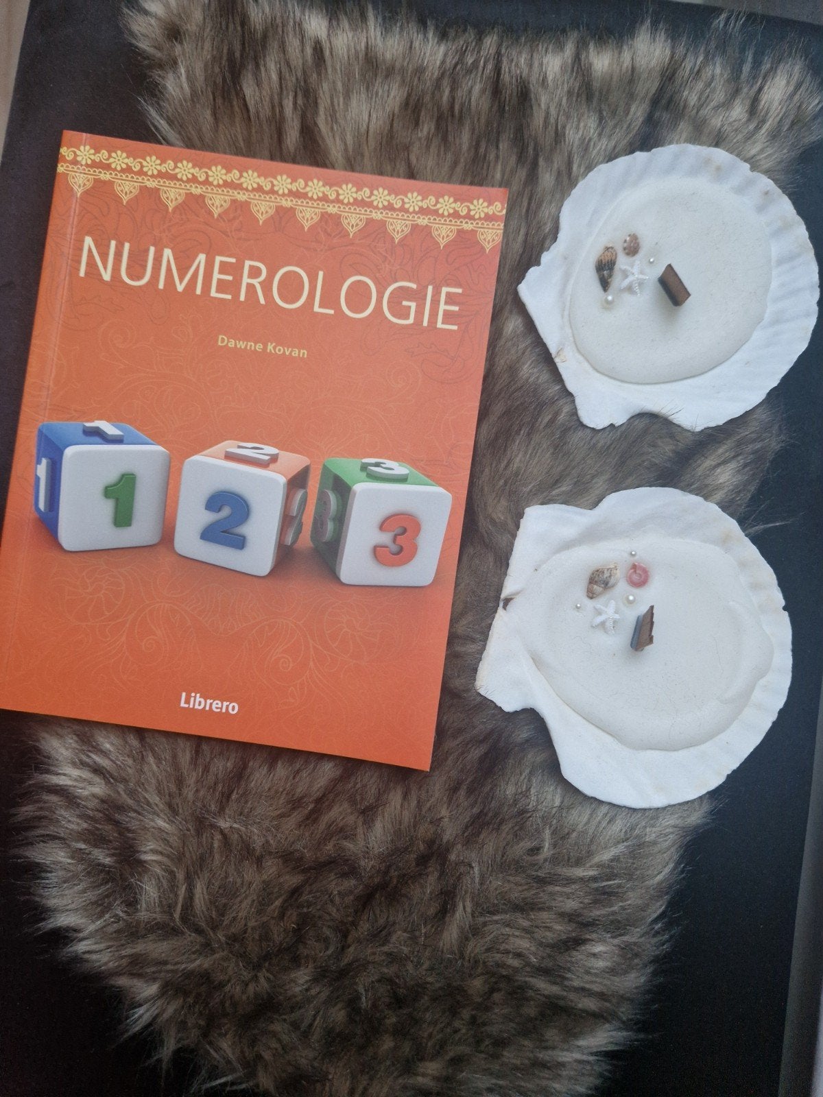 Numerologie - Ontdek de betekenis van getallen 9789463590914, Achtergrond en Informatie, Spiritualiteit algemeen, Ophalen of Verzenden