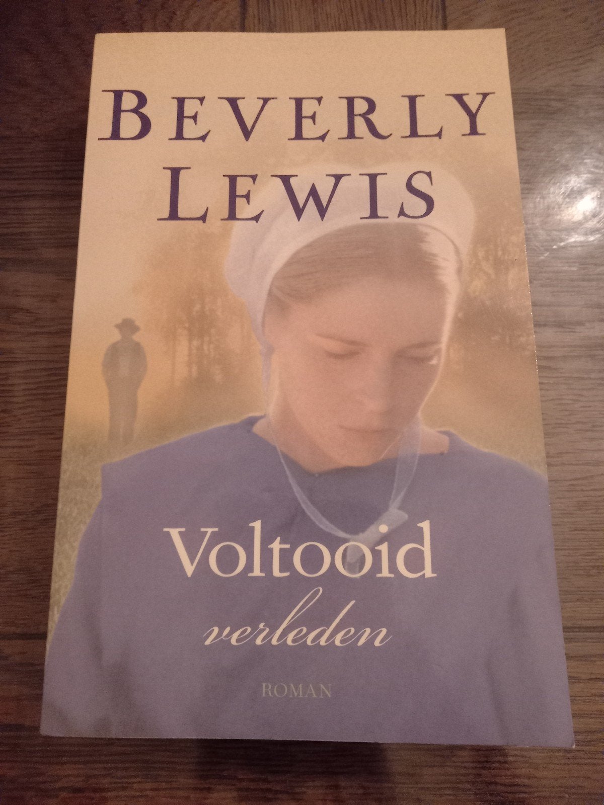 Voltooid verleden - Beverly Lewis (Roman) a, Boeken, Ophalen of Verzenden, Gelezen, Beverly Lewis