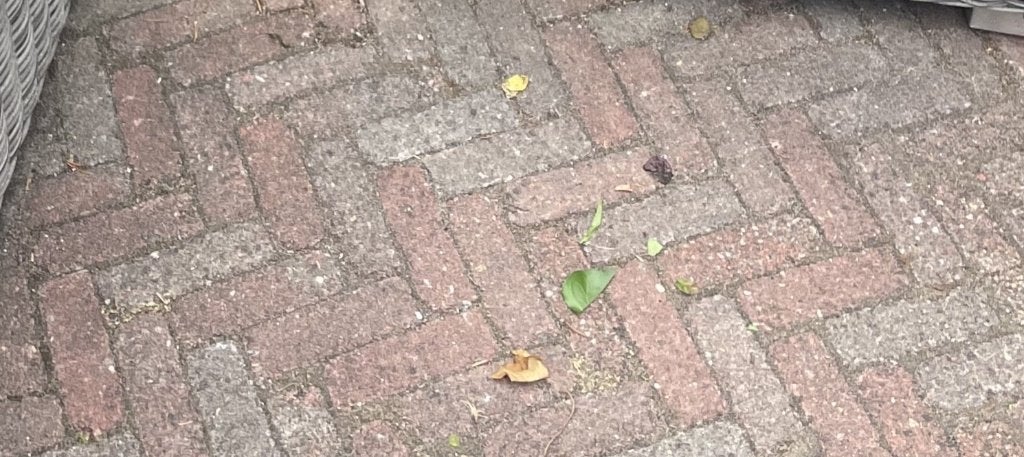 klinkers in ijsselformaat 14x5x7, Tuin en Terras, Ophalen, Gebruikt, Klinkers, 10 m² of meer