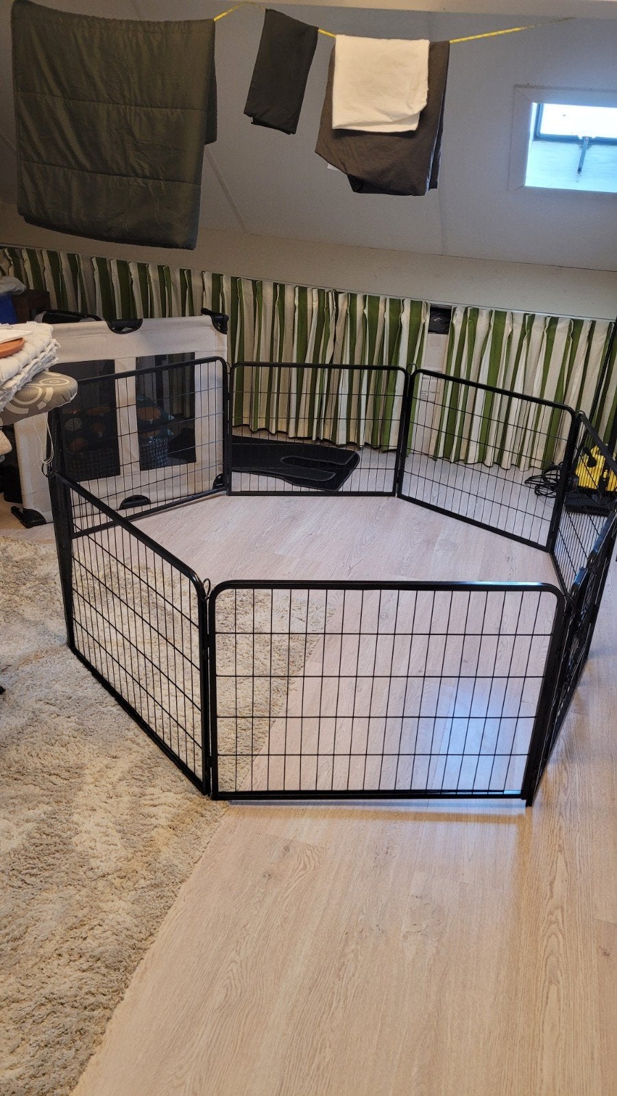 honden / puppy ren van ijzer, Ophalen of Verzenden, 110 cm of meer, 100 cm of meer