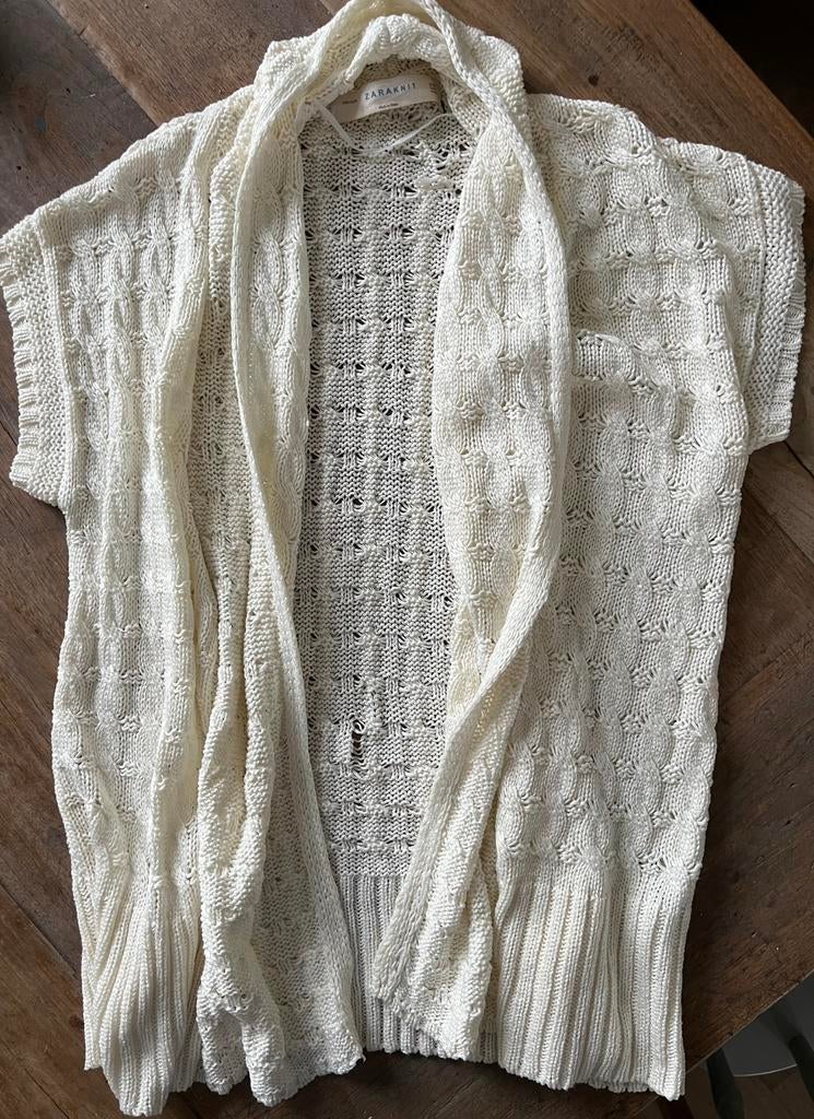Vestje Zara maat M, Kleding | Dames, Ophalen of Verzenden, Zo goed als nieuw, Maat 38/40 (M)