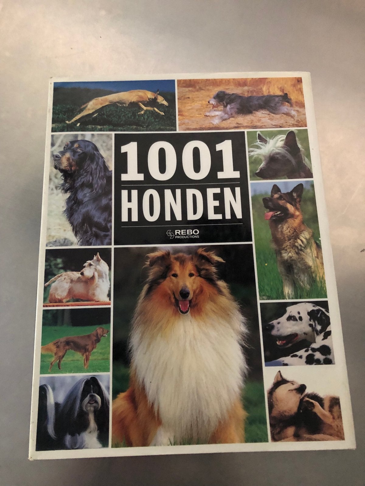 Boek 1001 Honden: Een Uitgebreide Gids over Hondenrassen, Ophalen of Verzenden, Gelezen, Honden