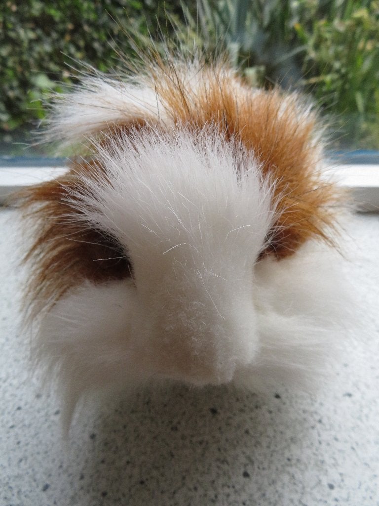 Cavia merk HANSA hand crafted Creation meet ca 34 cm breed, Overige typen, Ophalen of Verzenden, Middelgroot (20 tot 80 cm), Met label