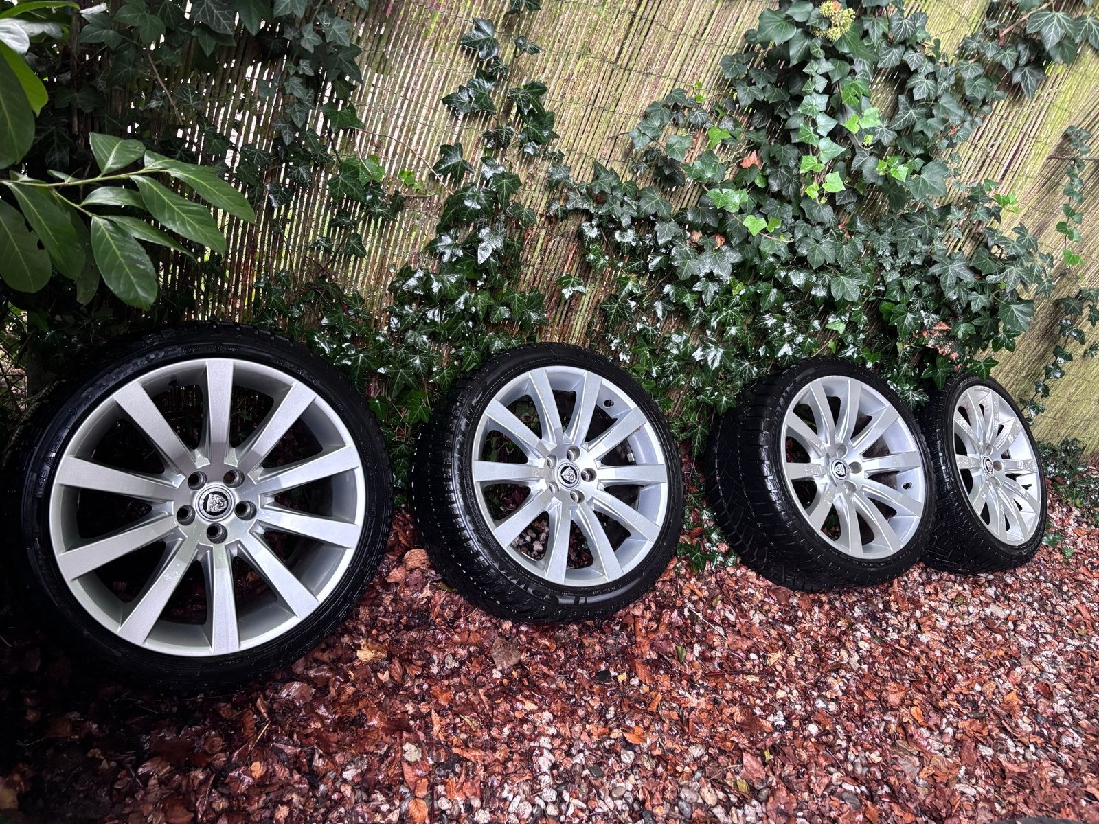 19" Carelia breedset winterbanden Jaguar XK/XF, Auto-onderdelen, 19 inch, Banden en Velgen, Personenwagen, Gebruikt