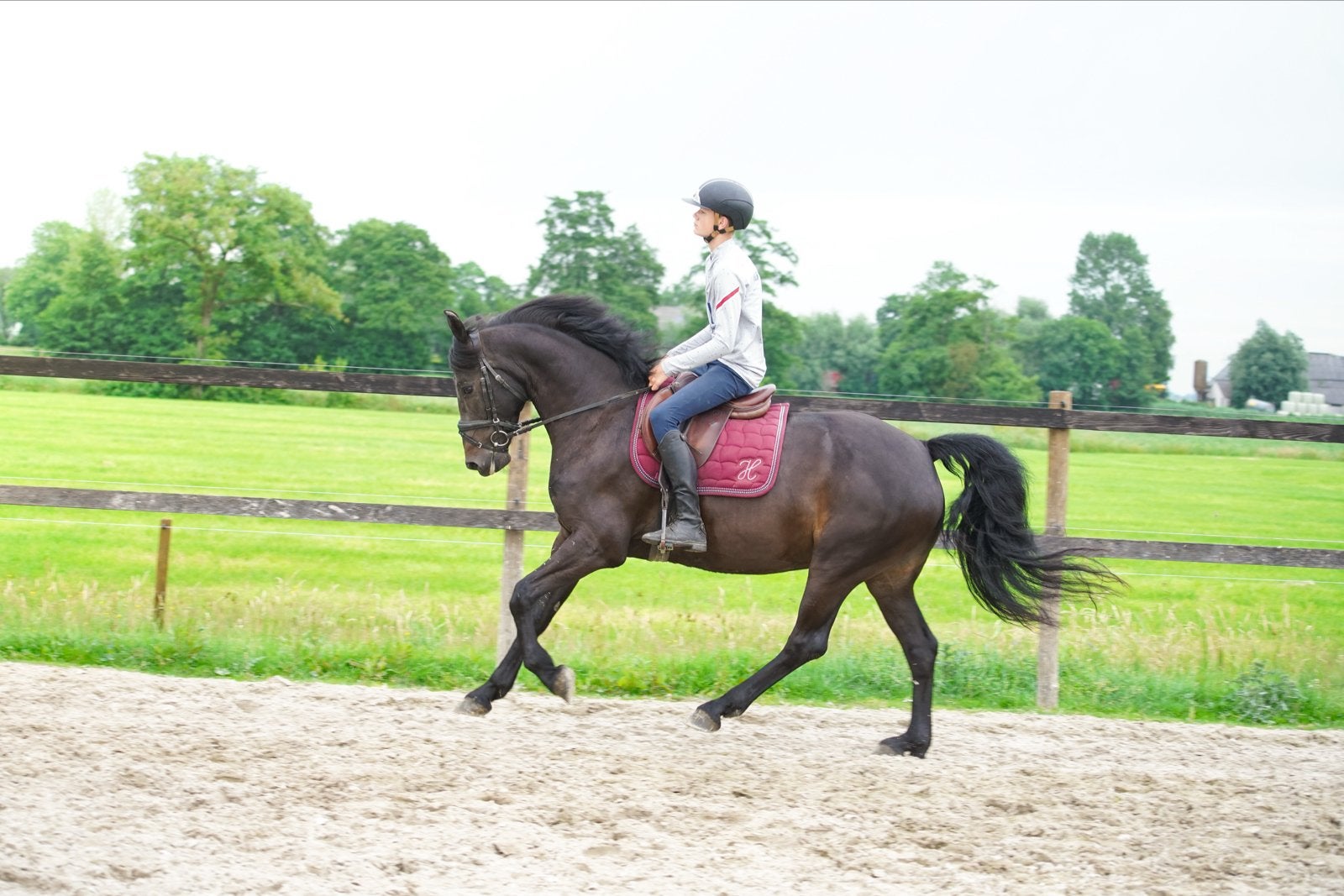 De allerleukste shadow, Dieren en Toebehoren, Paarden, Gechipt, Minder dan 160 cm, B, Ruin