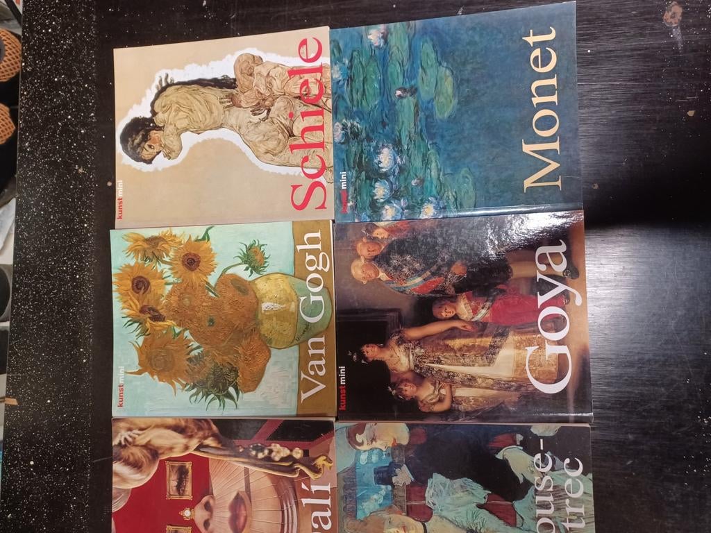 Kunst mini boeken: Goya, Dali, Pic, Ophalen of Verzenden