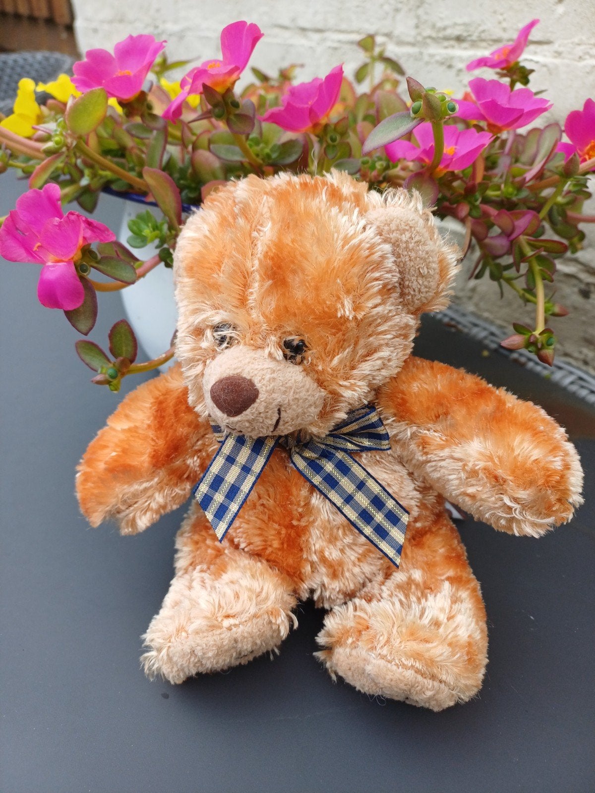 Mooie Posh Paws Beer - Zo goed als nieuw, Kinderen en Baby's, Speelgoed | Knuffels en Pluche, Overige merken, Beer, Ophalen of Verzenden