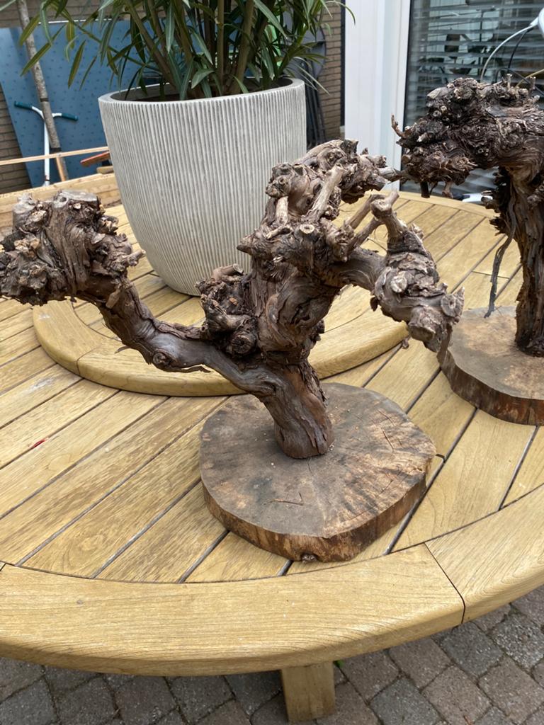Druivenranken op houten boomstamschijf 2x, Ophalen of Verzenden