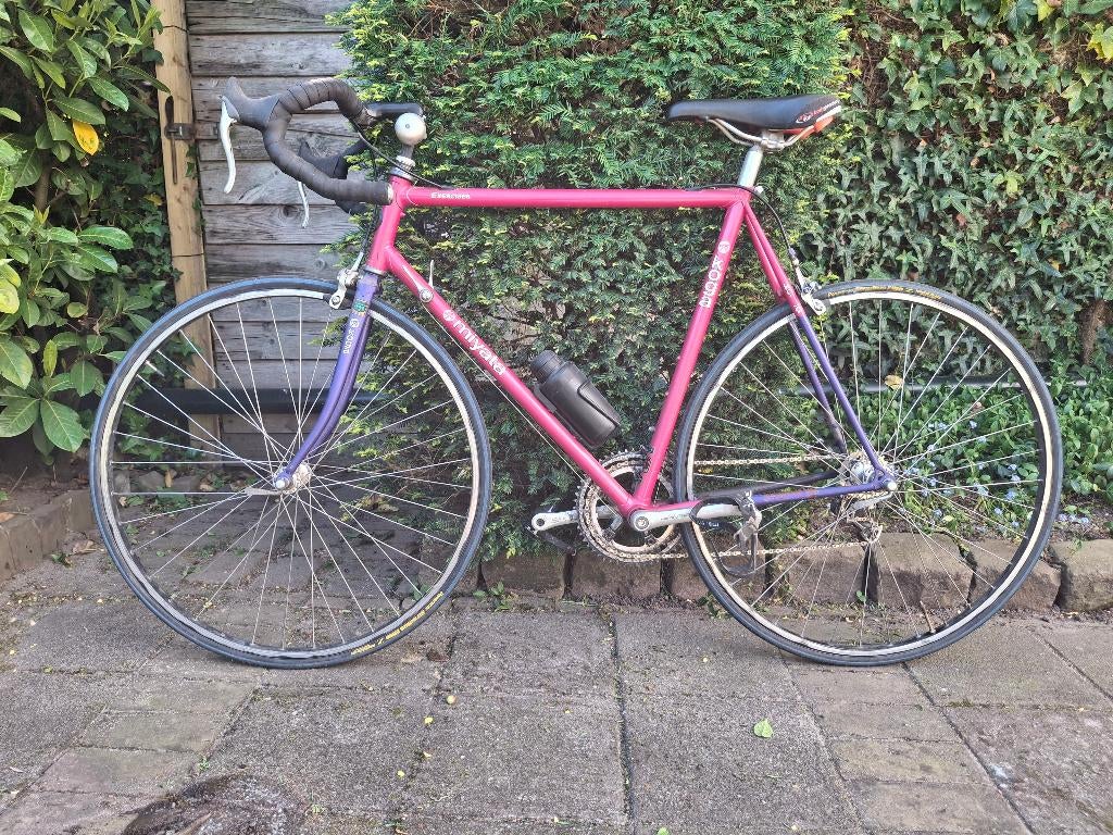 Koga Miyata Exerciser, Ophalen, Gebruikt, 10 tot 15 versnellingen, Velgrem