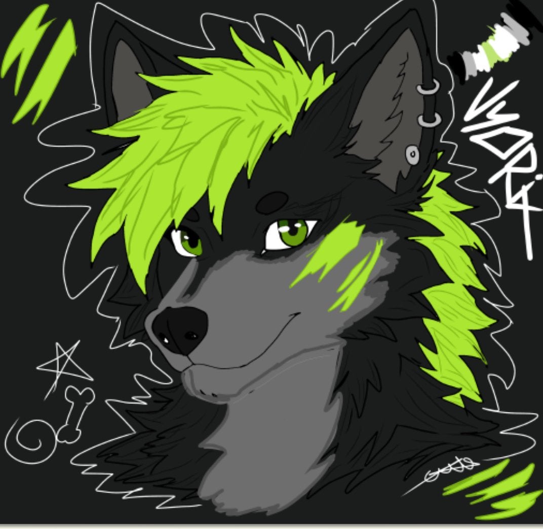 Furry head commissions, Verzenden, Overige typen