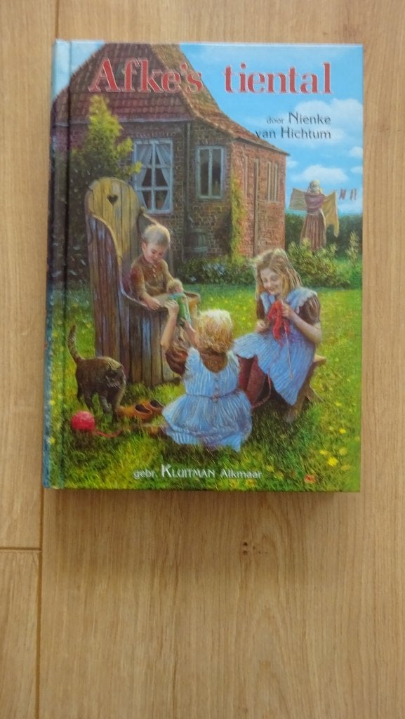 Afke's tiental Nienke van Hichtum, Boeken, Ophalen of Verzenden, Zo goed als nieuw, Nienke van Hichtum, Fictie