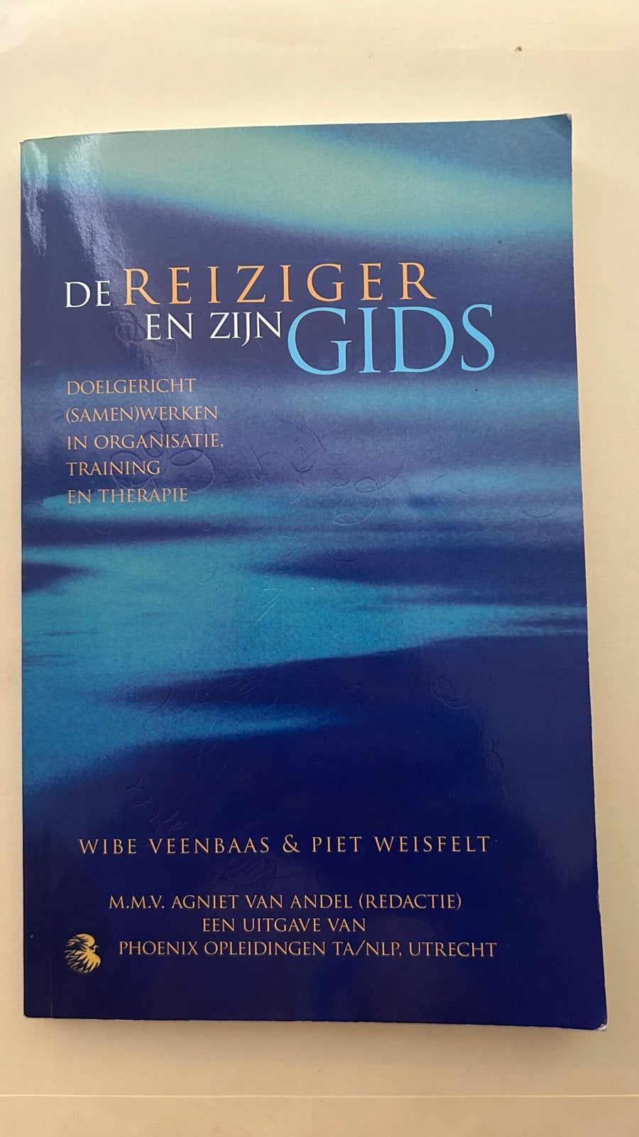 De Reiziger en zijn Gids - Wibe Veenbaas & Piet Weisfelt, Boeken, Ophalen of Verzenden, Zo goed als nieuw