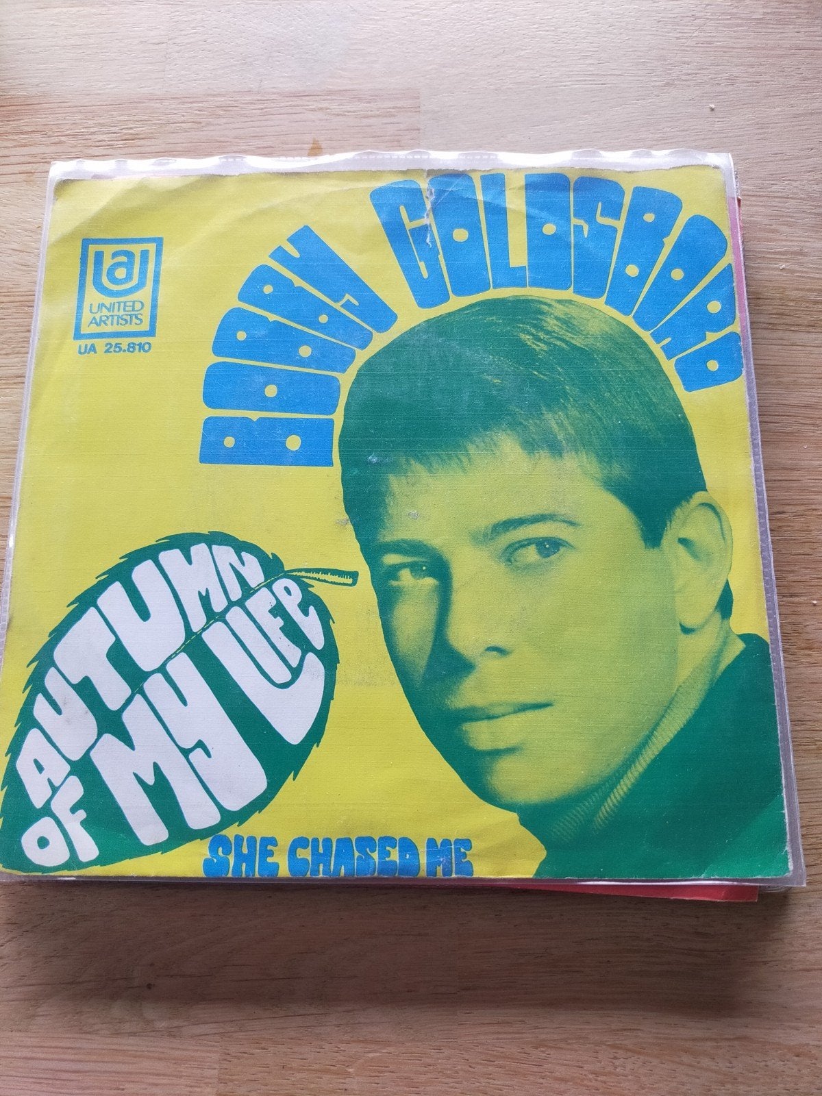 Bobby Golsboro , autumn of my life, Ophalen of Verzenden, Zo goed als nieuw, Pop