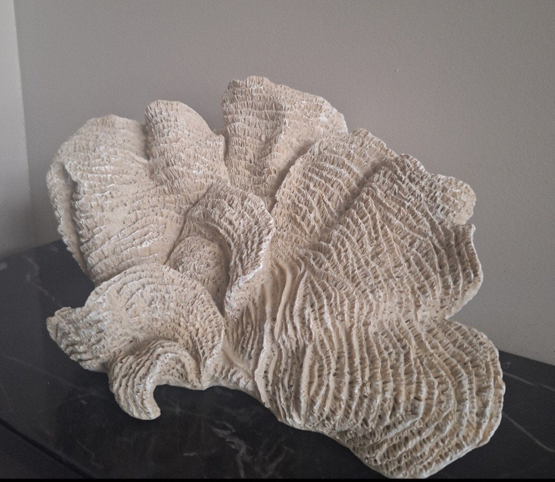 Prachtig groot beige faux koraal ornament japandi chique, Nieuw, Ophalen of Verzenden, X, X