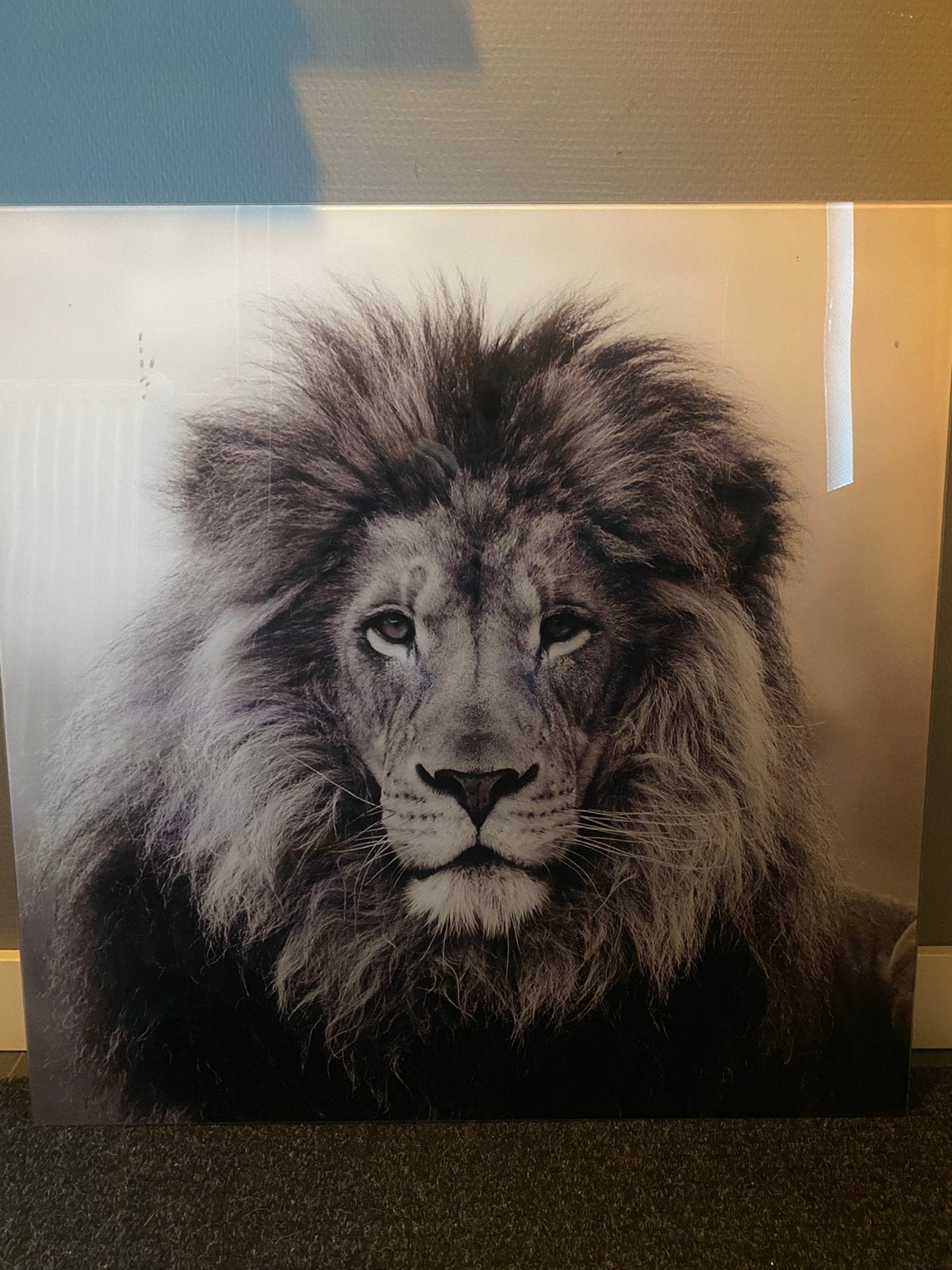 Super leuke schilderijen van plexiglas ., Ophalen, Zo goed als nieuw, Schilderij