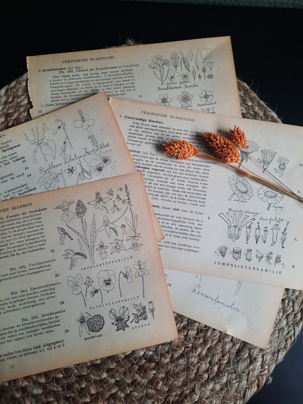 bullet journal vintage papier, Ophalen of Verzenden, Zo goed als nieuw, Papier of Karton
