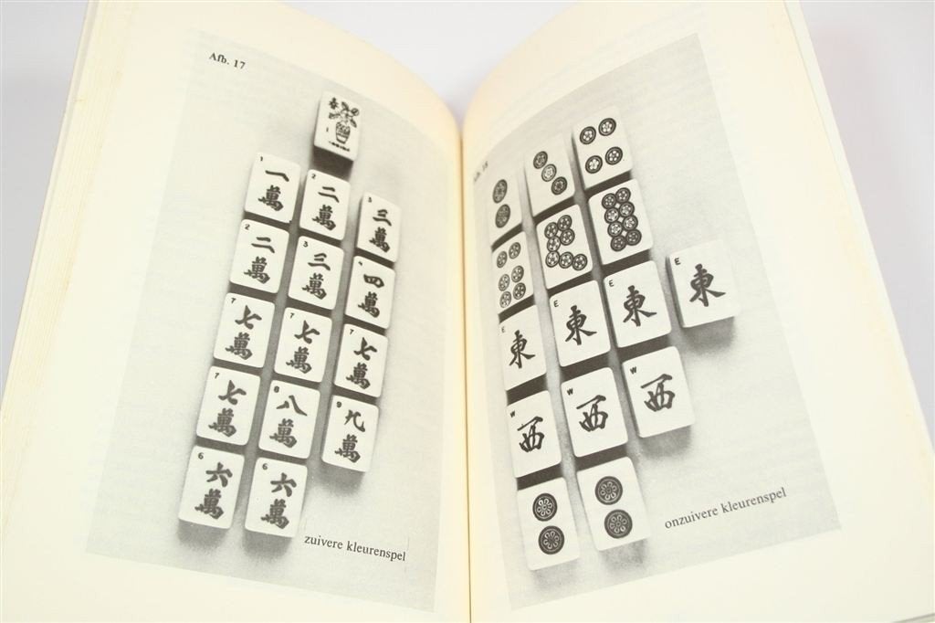 Mah-Jong — Spelregels, Tactiek en Variaties, Ophalen of Verzenden, Gelezen