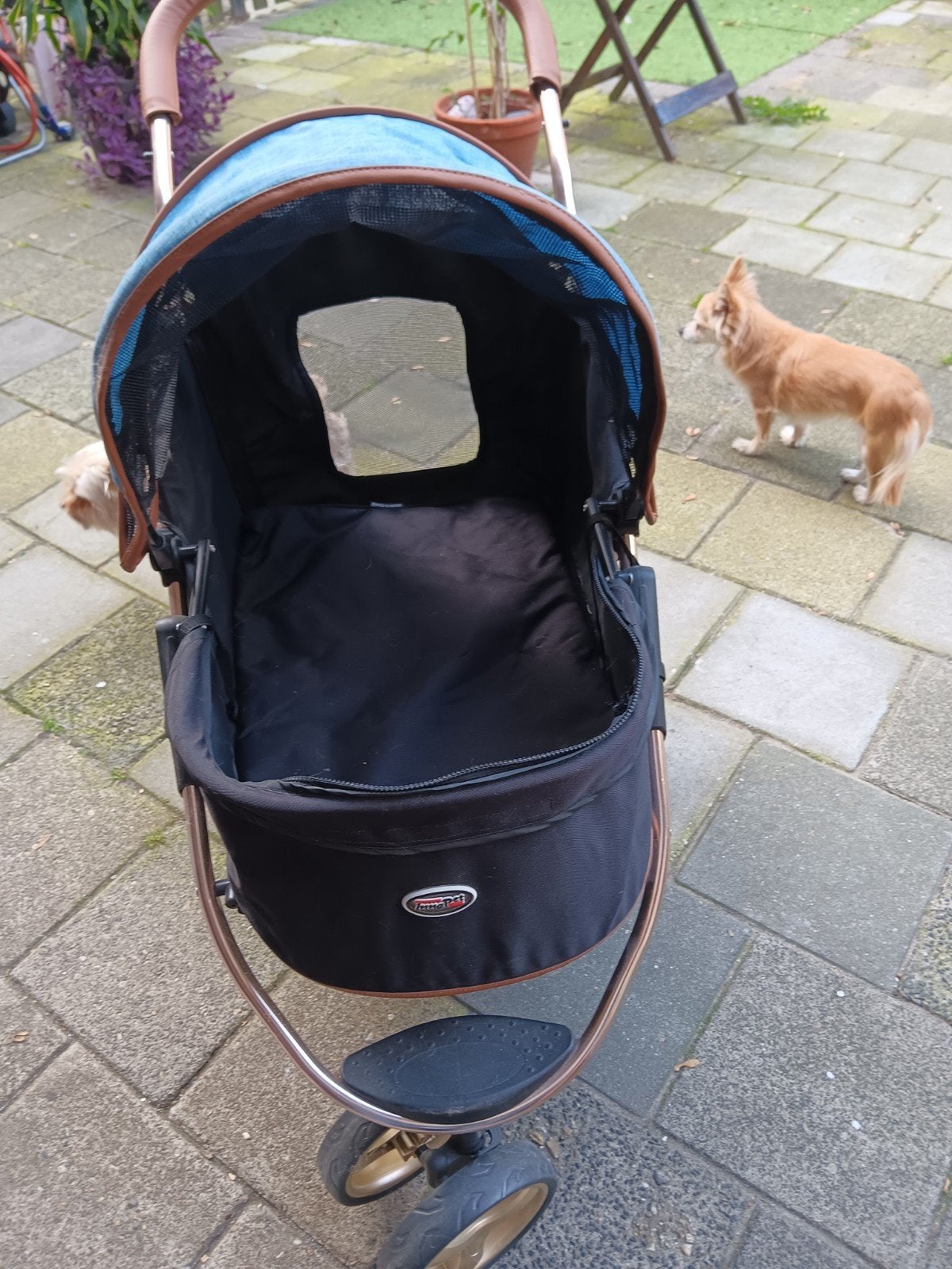 mooie honden wagen,, Ophalen of Verzenden