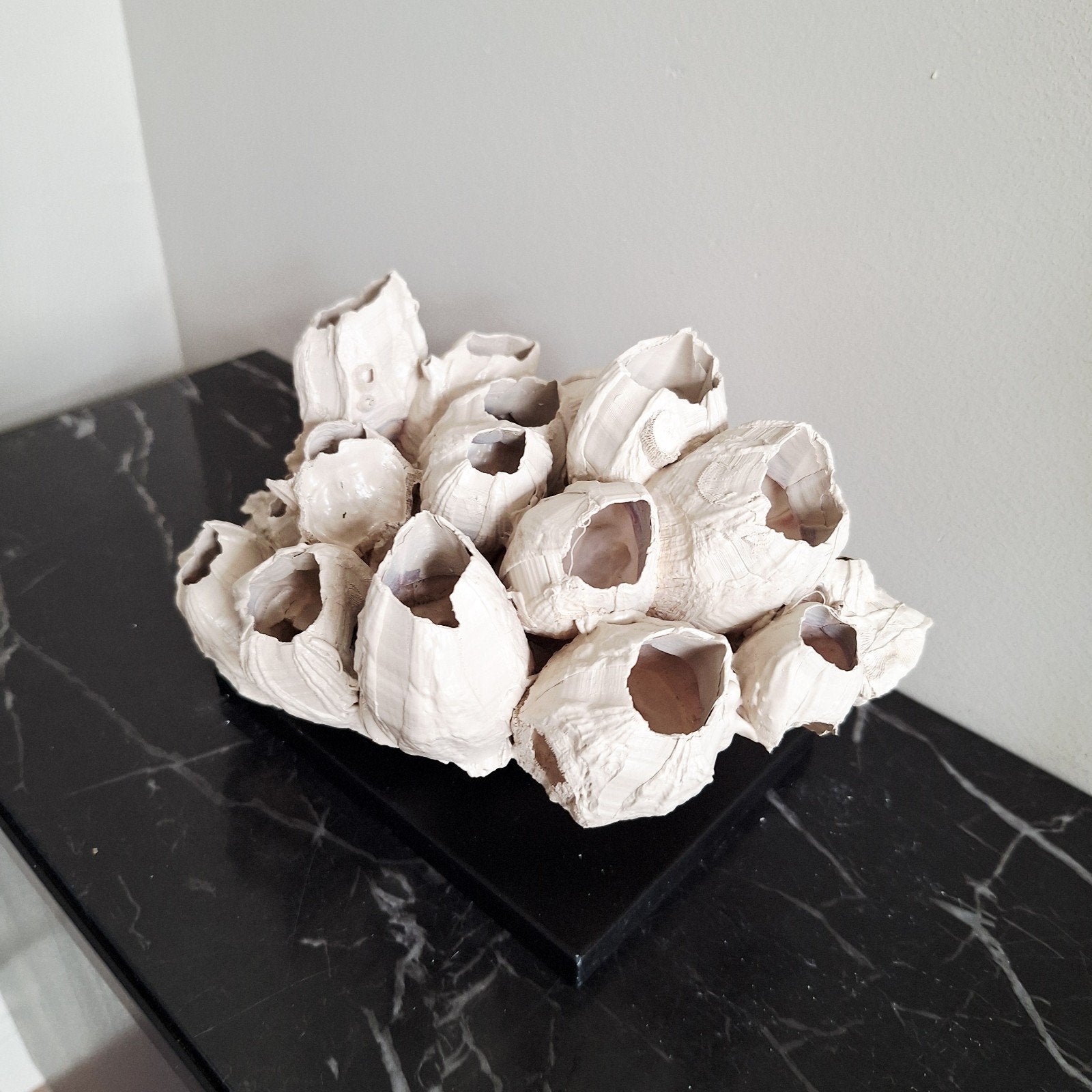Mooie beige cluster ornament op zwarte voet japandi chique, Nieuw, Ophalen of Verzenden, X, X