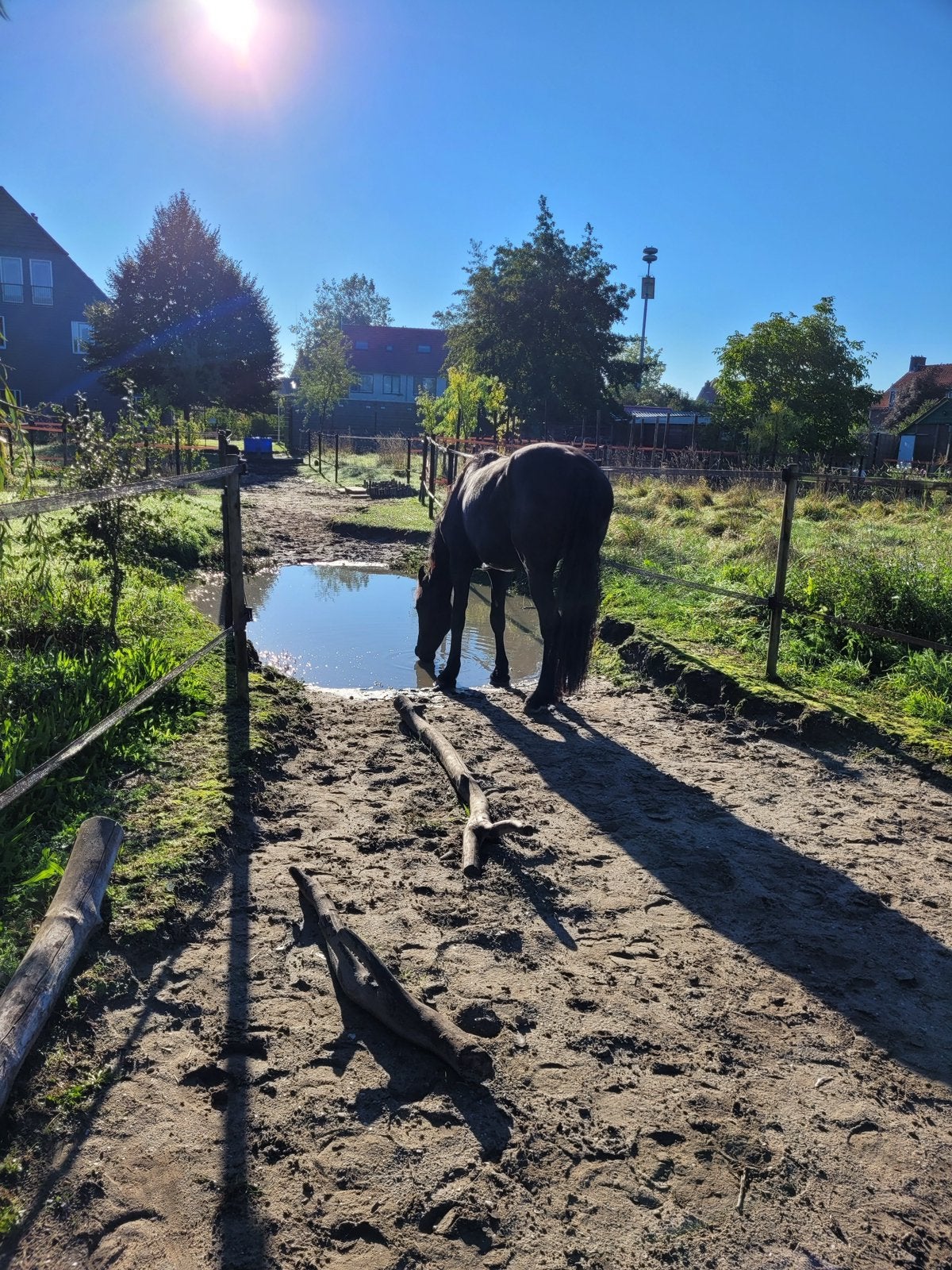 Plekje vrij op paddock paradise, Stalling