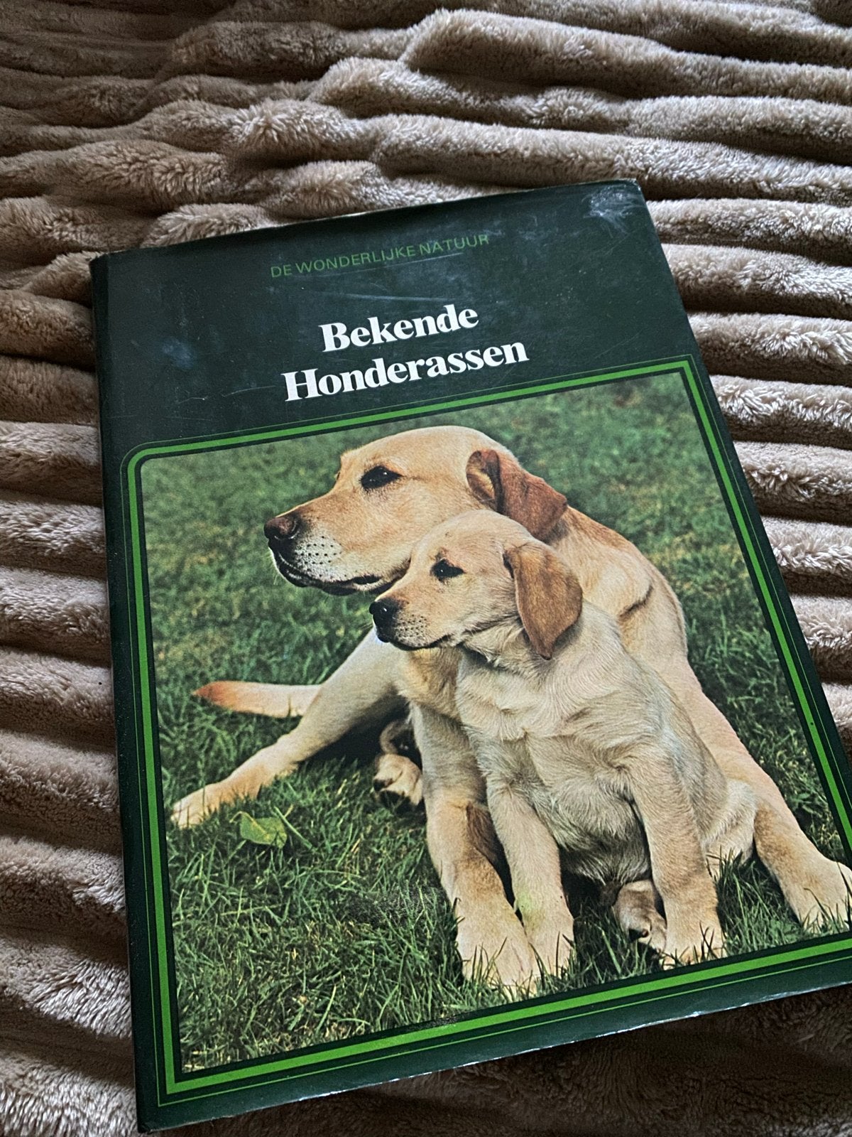 Bekende Hondenrassen - De Wonderlijke Natuur Boek, Ophalen of Verzenden, Gelezen, Honden