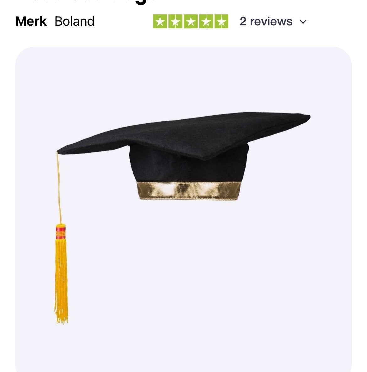 Afstudeerhoed met Kwastje (31 stuks), Ophalen of Verzenden, Zo goed als nieuw, Feestartikel, Overige
