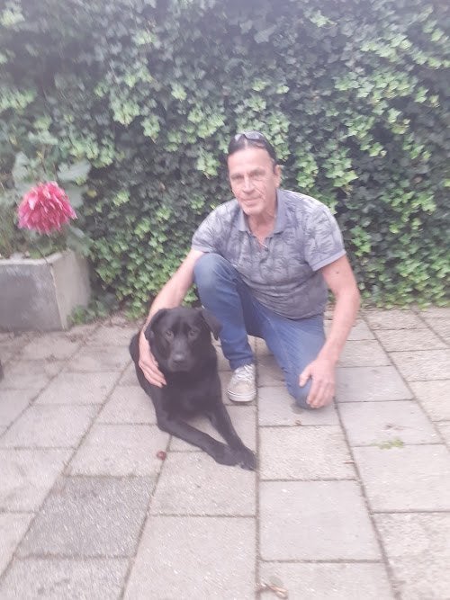 Akkerman-Honden oppas en uitlaatservice, Diensten en Vakmensen, Dieren | Honden | Verzorging, Oppas en Les, Uitlaatservice