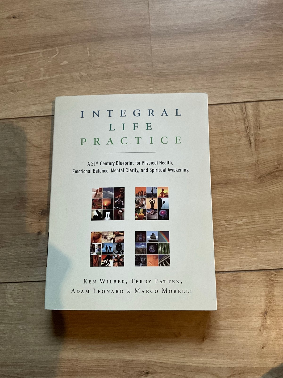 Integral Life Practice (Zo goed als nieuw), Boeken, Ophalen of Verzenden, Zo goed als nieuw, Spiritualiteit algemeen, Instructieboek