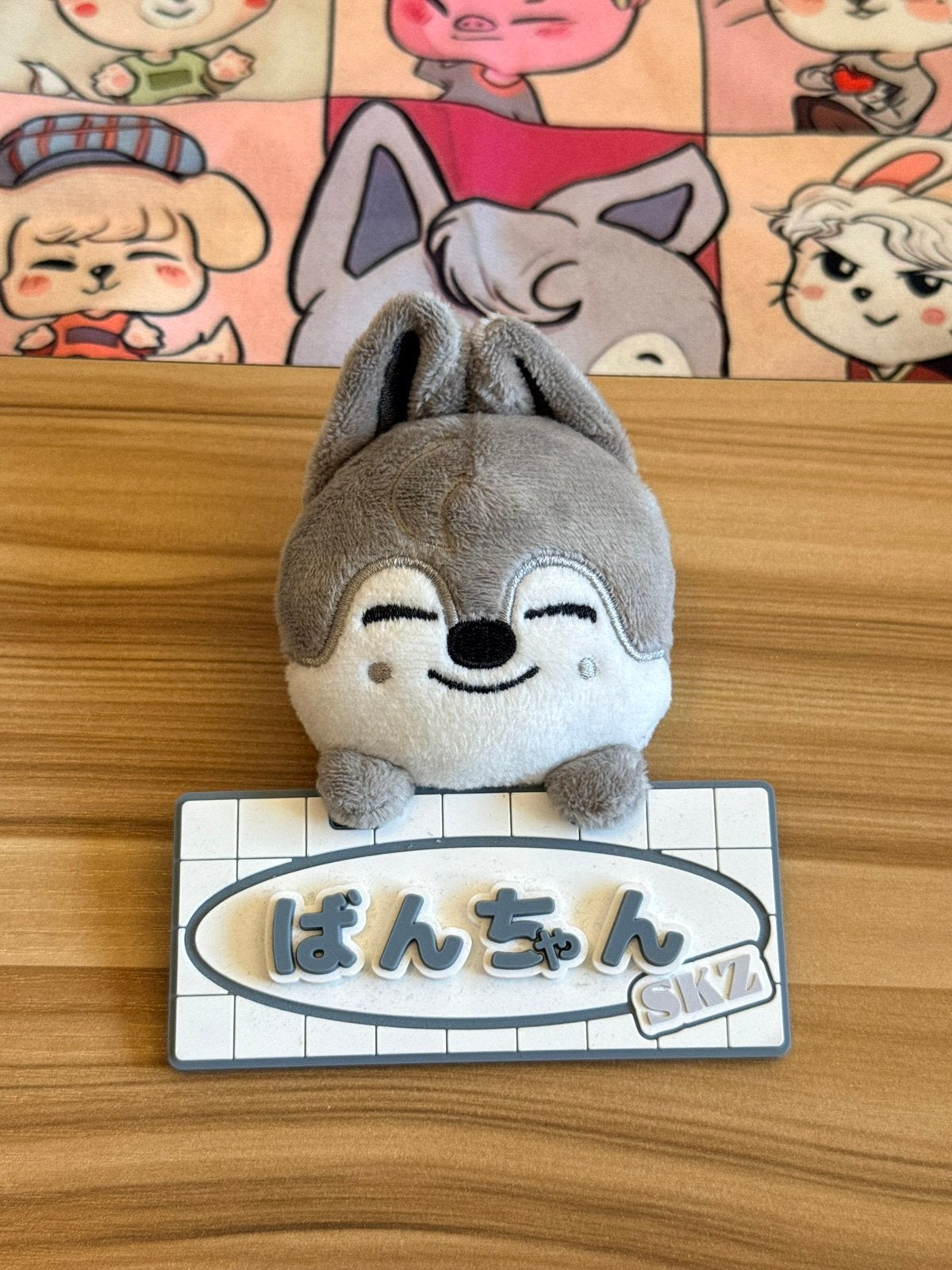 Stray Kids wolfchan Bang Chan name tag charm, Ophalen of Verzenden, Zo goed als nieuw, Foto of Kaart