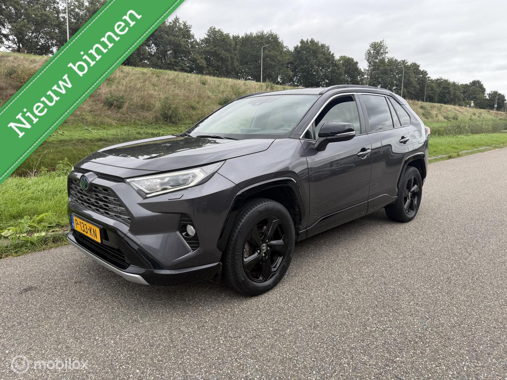 Toyota RAV4 2.5 Hybrid Bi-Tone