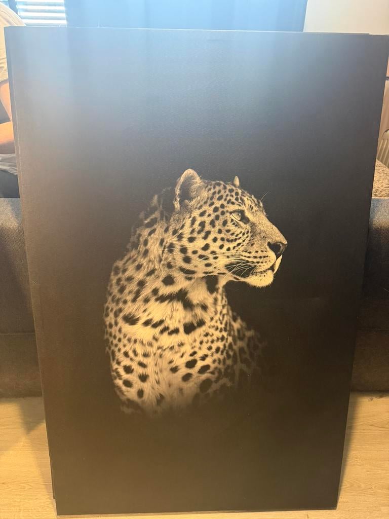 Schilderij olifant en luiaard, Huis en Inrichting, Ophalen, Zo goed als nieuw, Schilderij, 75 cm of meer