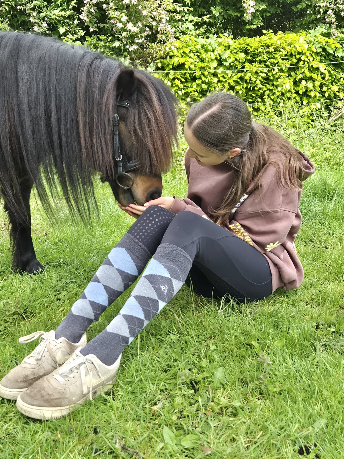 Verzorger/bijrijder/leaser aangeboden!, Dieren en Toebehoren