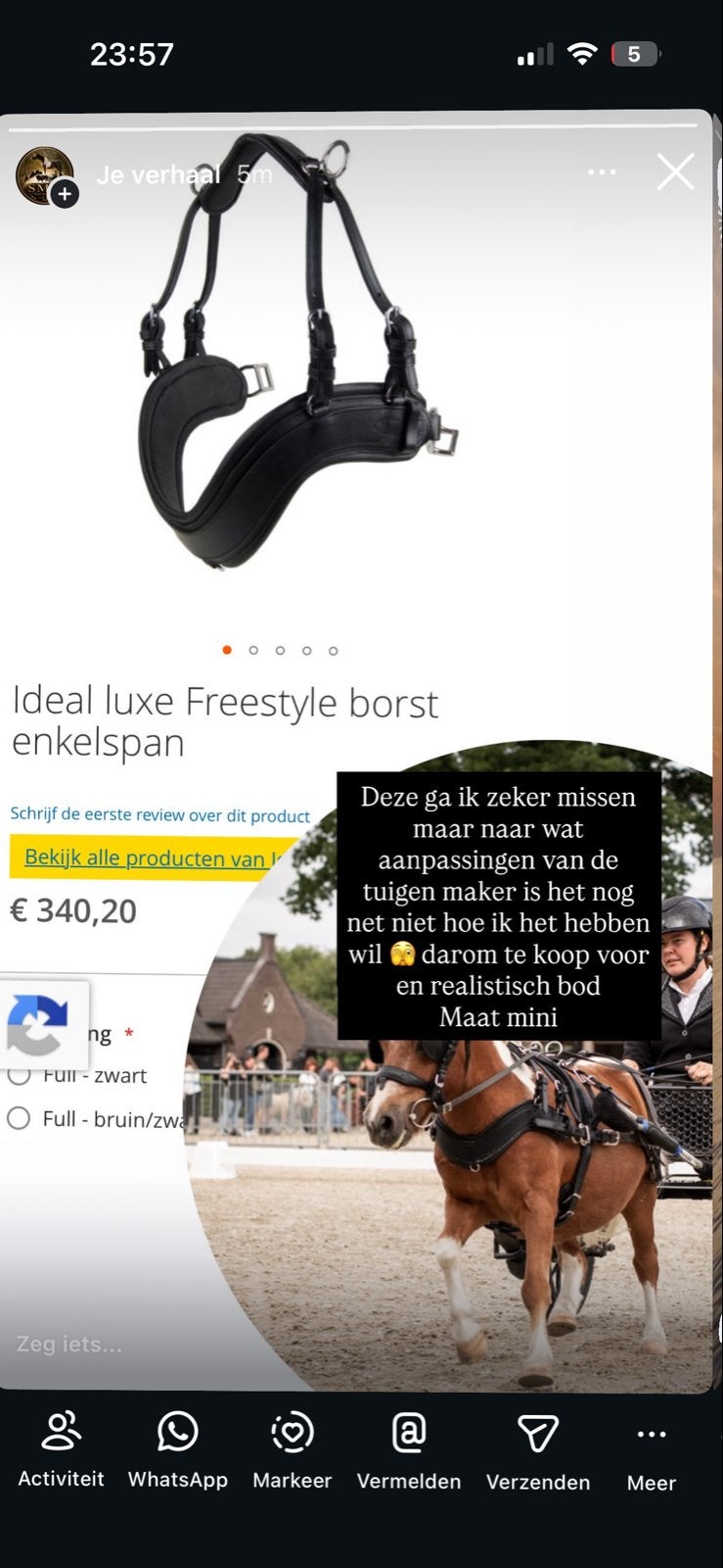 Borst tuig maat mini, Ophalen of Verzenden, Overige soorten