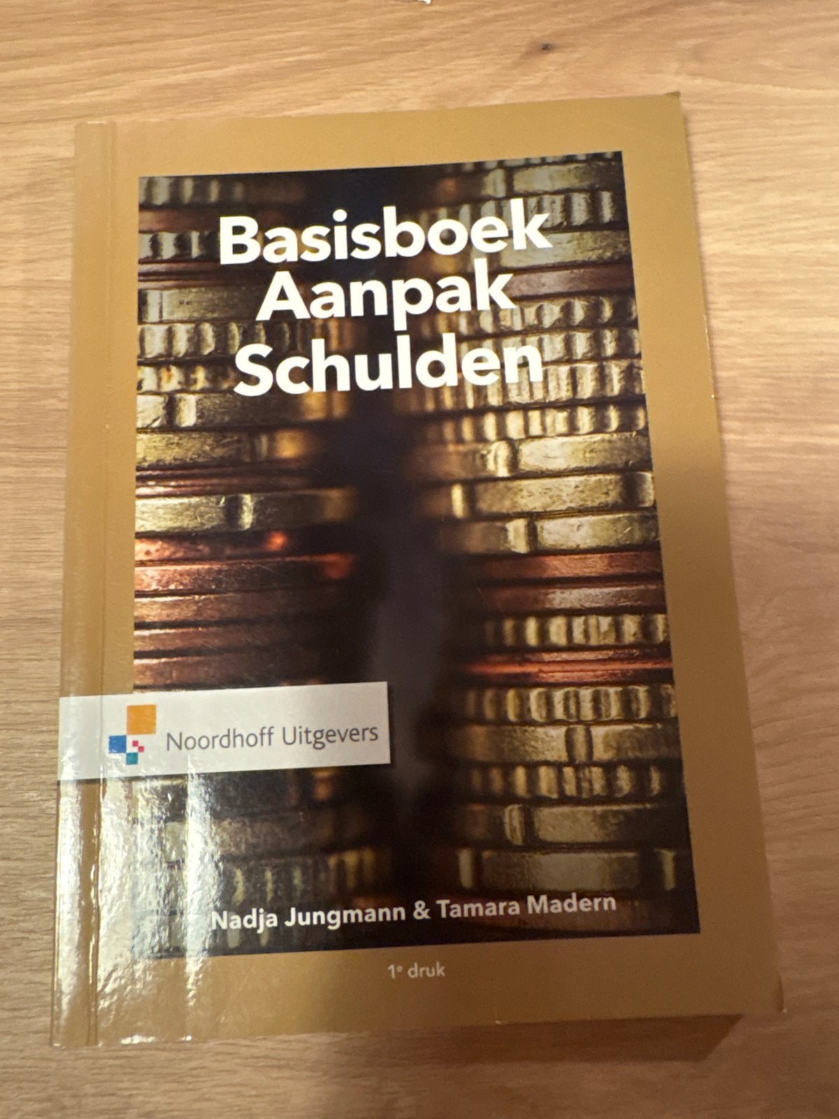 Basisboek Aanpak Schulden - Nadja Jungmann & Tamara Madern, Ophalen of Verzenden, Gelezen, Geld en Beleggen
