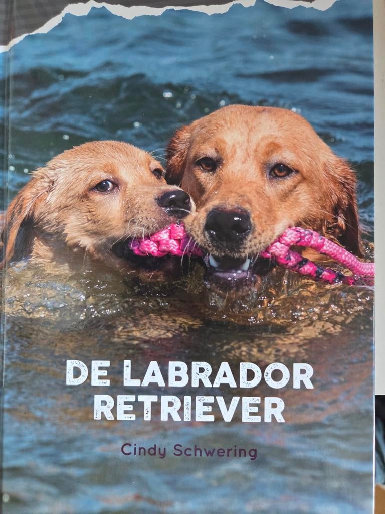 De Labrador Retriever: opvoeding en puppy tot pu, Ophalen of Verzenden, Gelezen, Honden, Cindy Schwering