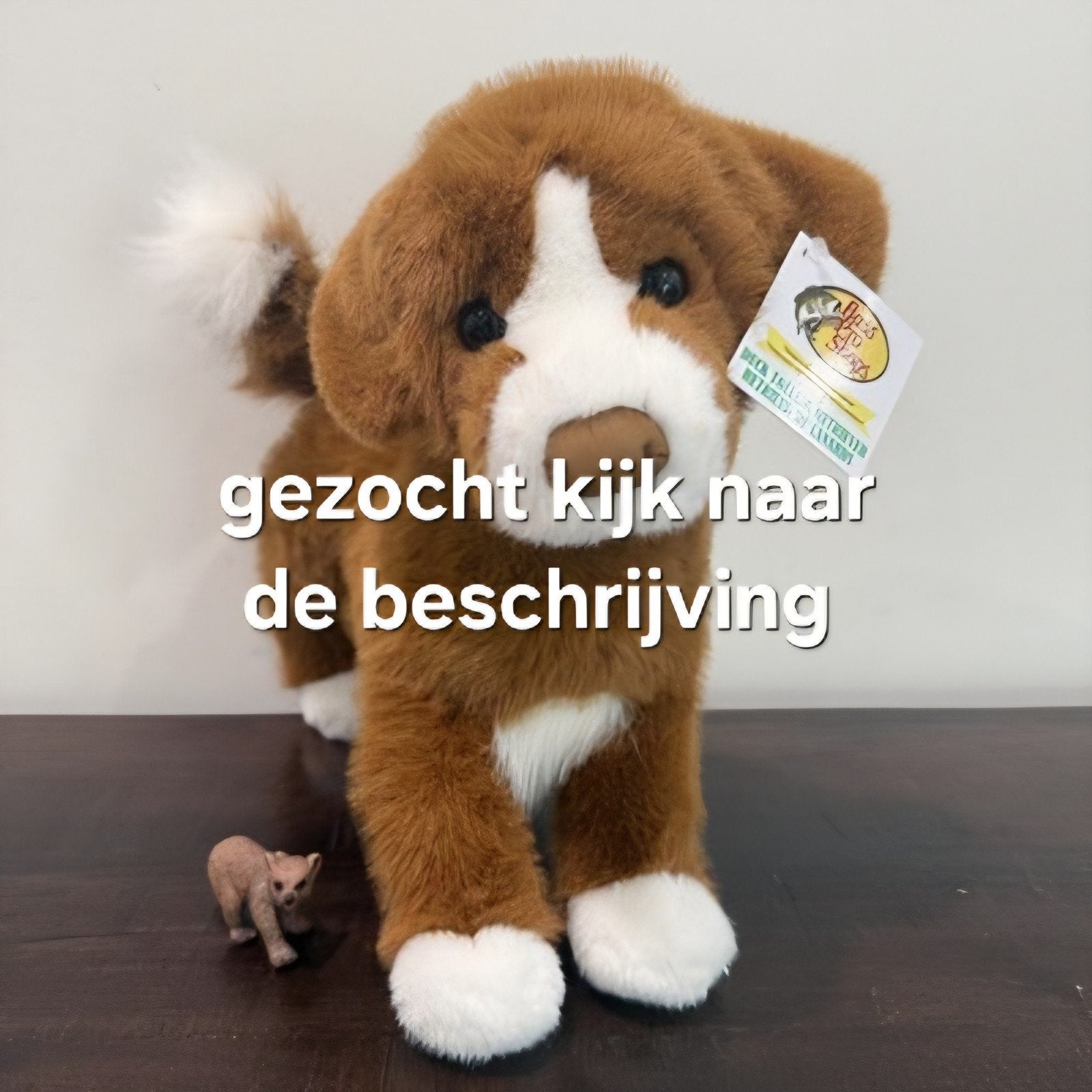 GEZOCHT nova scotia duck tolling retriever douglas, Ophalen of Verzenden, Zo goed als nieuw, Bruin, Hond