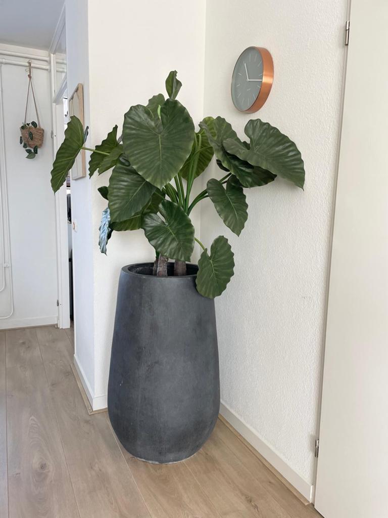 Kwaliteits kunstplant  in pot, groot! 175cm hoog, Ophalen, Binnen, Groen, Handgemaakt