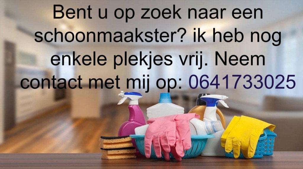 Huishoudelijke hulp aangeboden, Diensten en Vakmensen, Schoonmaken