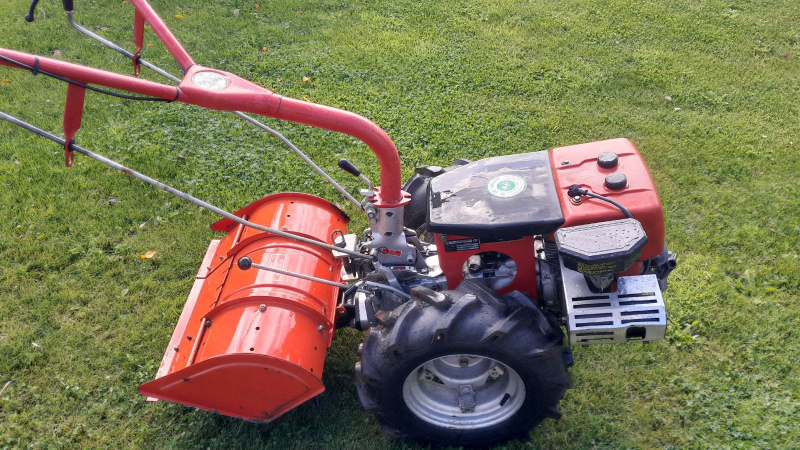 carraro tuinfrees, Tuin en Terras, Ophalen, Gebruikt, 50 cm of meer