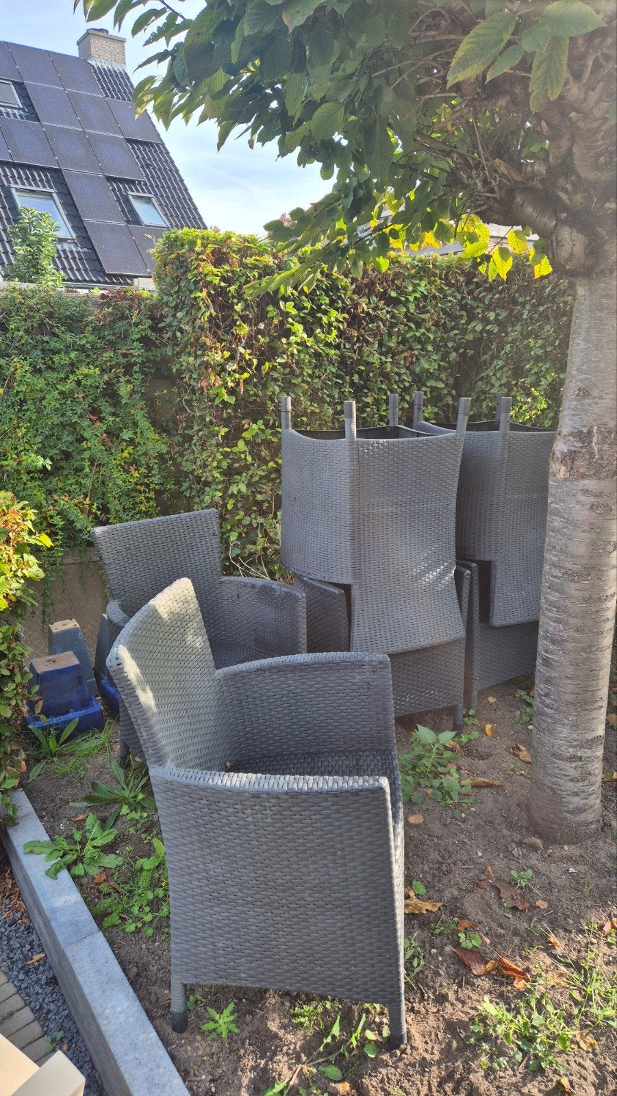 Gratis: Wicker tuinstoelen (6 stuks), Ophalen, Gebruikt, Wicker
