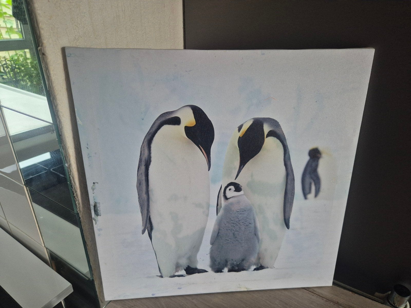 foto op doek  Pinquins, Minder dan 50 cm, Ophalen of Verzenden, Zo goed als nieuw, Foto of Poster