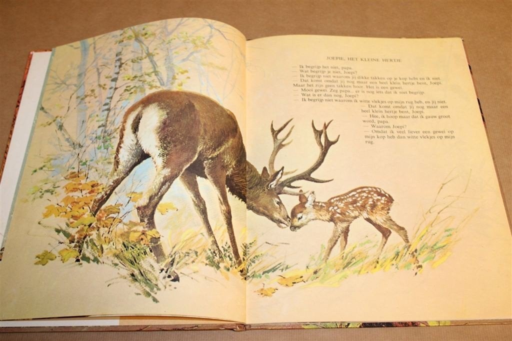 Een Bos vol Dierekinderen — Vintage Prentenboek 1970, Ophalen of Verzenden, Gelezen